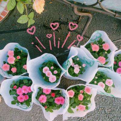 星空体育电子竞技